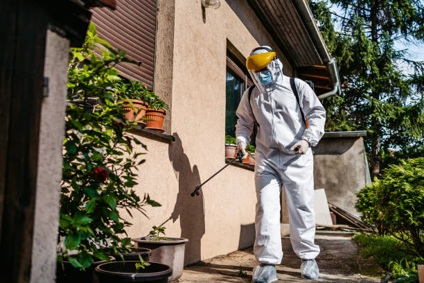 Best Pest Control Near Me in Versailles, PA